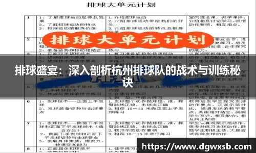 排球盛宴：深入剖析杭州排球队的战术与训练秘诀